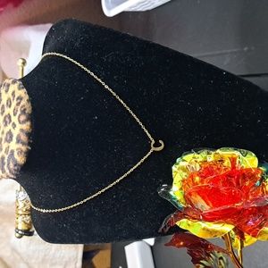 strings with letters C. stainless steel with 14k gold. measure 16 .